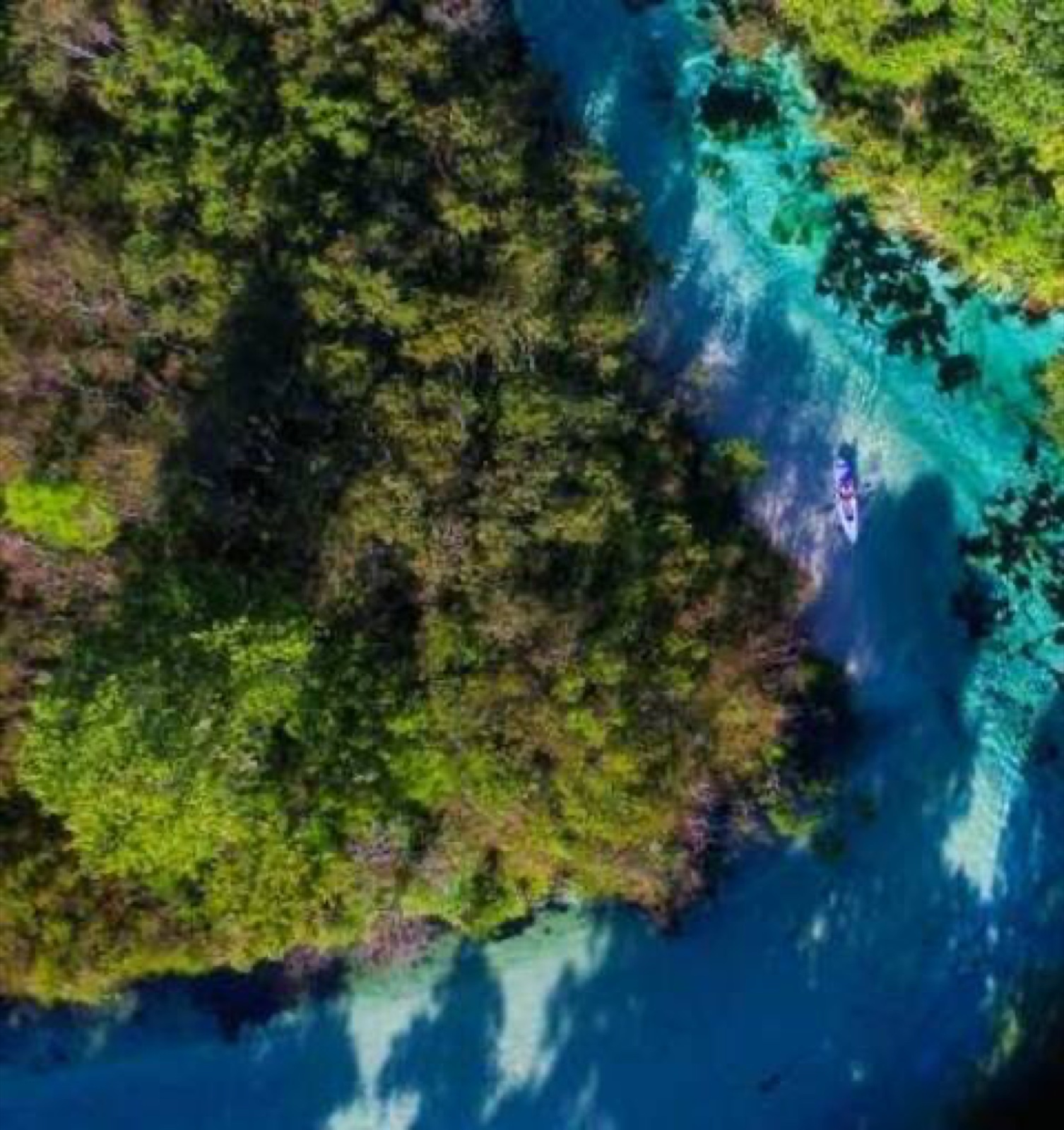 Aerial view of a Florida spring river with a kayak