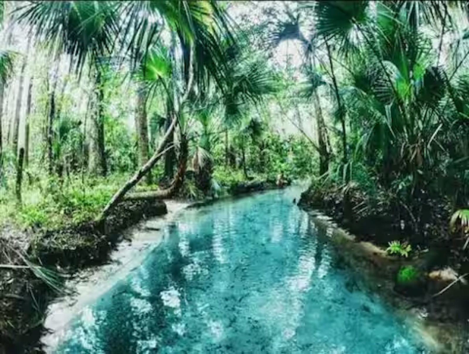 Blue spring water at a Florida state park